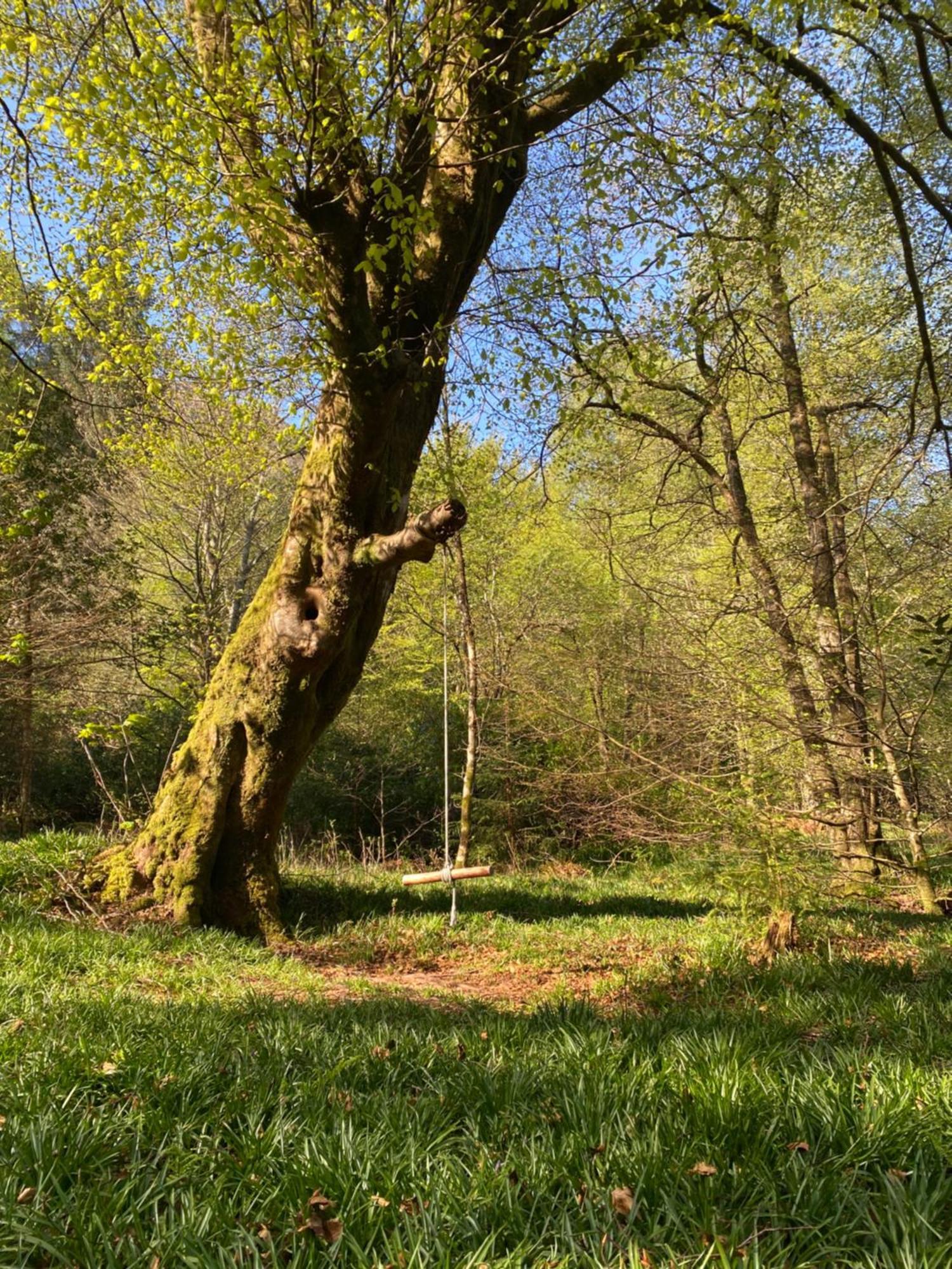 Woodland Cabins, Glencoe Ballachulish Ngoại thất bức ảnh