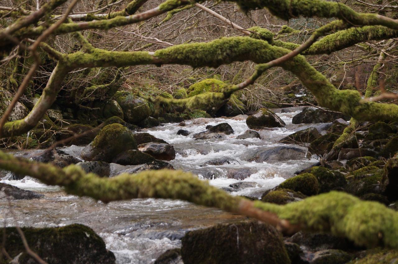 Woodland Cabins, Glencoe Ballachulish Ngoại thất bức ảnh